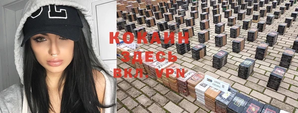 крисы Аркадак
