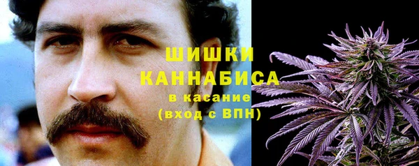 крисы Аркадак