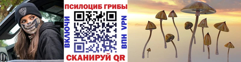 Псилоцибиновые грибы ЛСД  mega ТОР  Урень  купить  